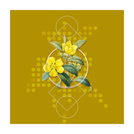 Vintage Golden Guinea Vine Botanical on Geometric