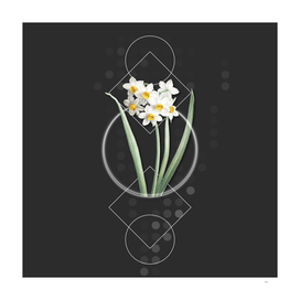 Vintage Narcissus Easter Flower Botanical