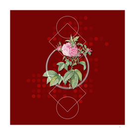 Vintage Pink Agatha Rose Botanical on Geometric