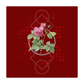 Vintage Pink Bourbon Roses Botanical on Geometric