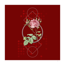 Vintage Pink Cumberland Rose Botanical on Geometric