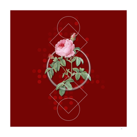 Vintage Provence Rose Bloom Botanical on Geometric