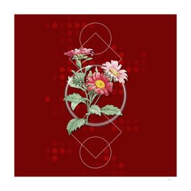 Vintage Red Aster Flowers Botanical on Geometric