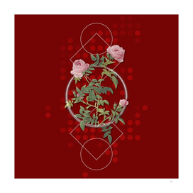 Vintage Rose of the Hedges Botanical on Geometric