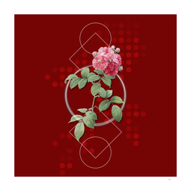 Vintage Seven Sisters Roses Botanical on Geometric