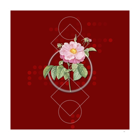 Vintage Speckled Provins Rose Botanical on Geometric