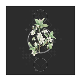 Vintage White Plum Flower Botanical on Geometric