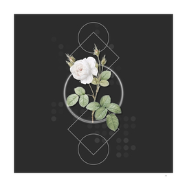 Vintage White Misty Rose Botanical on Geometric