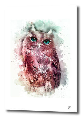 red owl