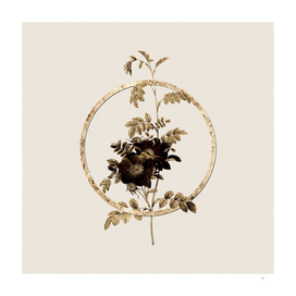 Gold Ring Alpine Rose Glitter Botanical Illustration