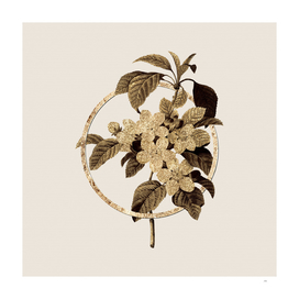 Gold Ring Apple Blossom Botanical Illustration