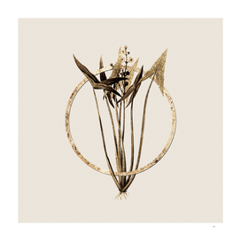 Gold Ring Arrowhead Glitter Botanical Illustration
