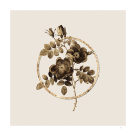 Gold Ring Austrian Briar Rose Botanical Illustration