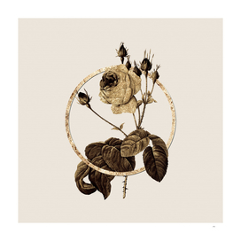 Gold Ring Cabbage Rose Glitter Botanical Illustration