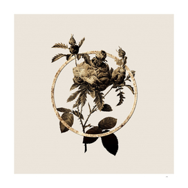 Gold Ring Cabbage Rose Glitter Botanical Illustration