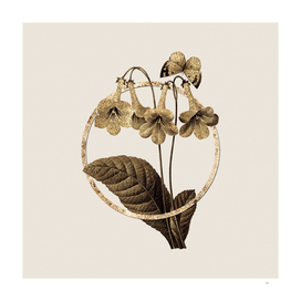Gold Ring Canterbury Bells Botanical Illustration