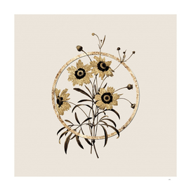 Gold Ring Coreopsis Elegans Botanical Illustration