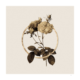 Gold Ring Damask Rose Glitter Botanical Illustration