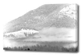 Fog Crawl up Gillette Mt BW