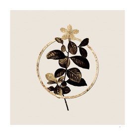 Gold Ring Gardenia Glitter Botanical Illustration