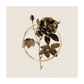 Gold Ring French Rose Glitter Botanical Illustration