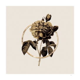 Gold Ring Gallic Rose Glitter Botanical Illustration