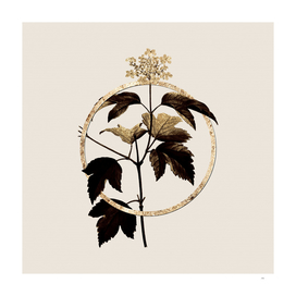 Gold Ring Guelder Rose Glitter Botanical Illustration