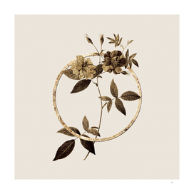 Gold Ring Hudson Rosehip Botanical Illustration