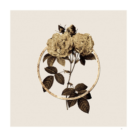 Gold Ring Italian Damask Rose Botanical Illustration
