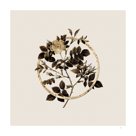 Gold Ring Malmedy Rose Glitter Botanical Illustration