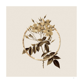 Gold Ring Musk Rose Glitter Botanical Illustration