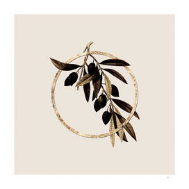 Gold Ring Olive Tree Branch Botanical Illustration