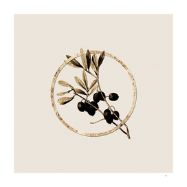 Gold Ring Olive Tree Branch Botanical Illustration