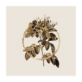 Gold Ring Pasture Rose Glitter Botanical Illustration