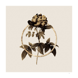 Gold Ring Provins Rose Glitter Botanical Illustration