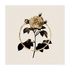 Gold Ring Rosa Alba Glitter Botanical Illustration