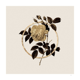Gold Ring Rosa Indica Glitter Botanical Illustration
