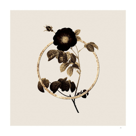 Gold Ring Rose Glitter Botanical Illustration