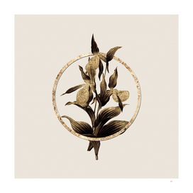 Gold Ring Sabot des Alpes Botanical Illustration