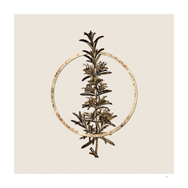 Gold Ring Rosemary Glitter Botanical Illustration