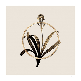 Gold Ring Spanish Bluebell Botanical Illustration