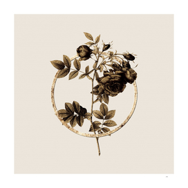 Gold Ring Turnip Roses Glitter Botanical Illustration