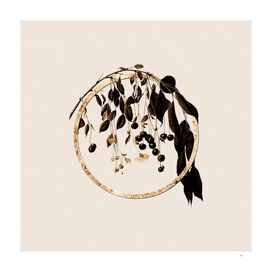 Gold Ring Visciola Cherries Botanical Illustration