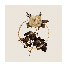 Gold Ring White Rose Glitter Botanical Illustration