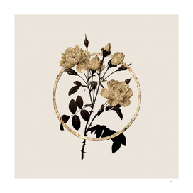Gold Ring White Rose Glitter Botanical Illustration