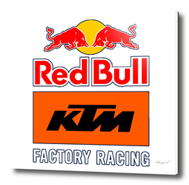 RED BULL KTM FACTORY RACING