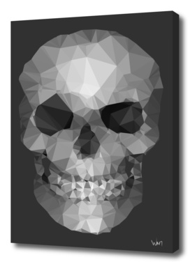 Polygons skull