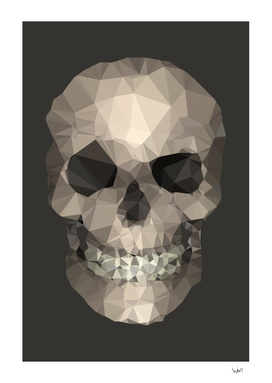 Polygons skull brown