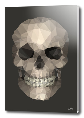 Polygons skull brown