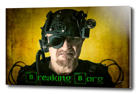 Breaking Borg